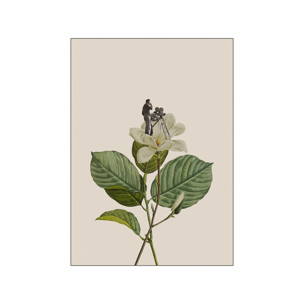 Botanical vintage cameraman — Art print by Frida Floral Studio from Poster & Frame