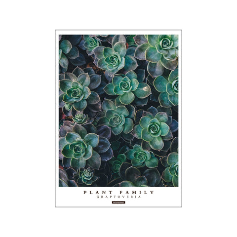 GRAPTOVERIA — Art print by KASPERBENJAMIN from Poster & Frame