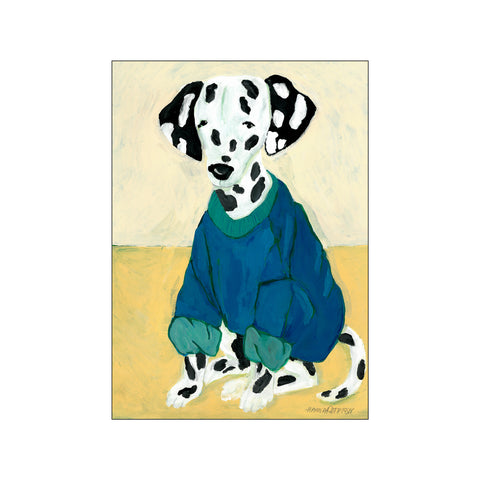 Dalmatian in Sweatshirt