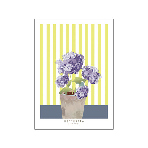 Hortensia — Art print by Lydia Wienberg from Poster & Frame