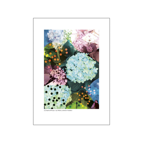 Hortensia - Blå/grøn — Art print by GraphicARTcph from Poster & Frame