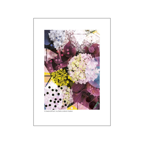 Hortensia - Blå/rød — Art print by GraphicARTcph from Poster & Frame