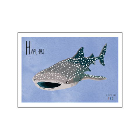 Hvalhaj — Art print by Line Malling Schmidt from Poster & Frame