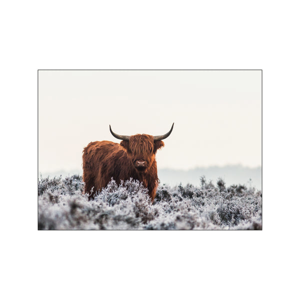 Highlander — Art print by Jaap van den Helm from Poster & Frame