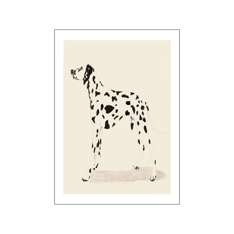 Dalmation — Art print by Jenny Liz Rome from Poster & Frame