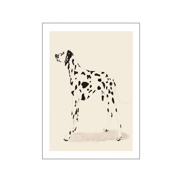 Dalmation — Art print by Jenny Liz Rome from Poster & Frame