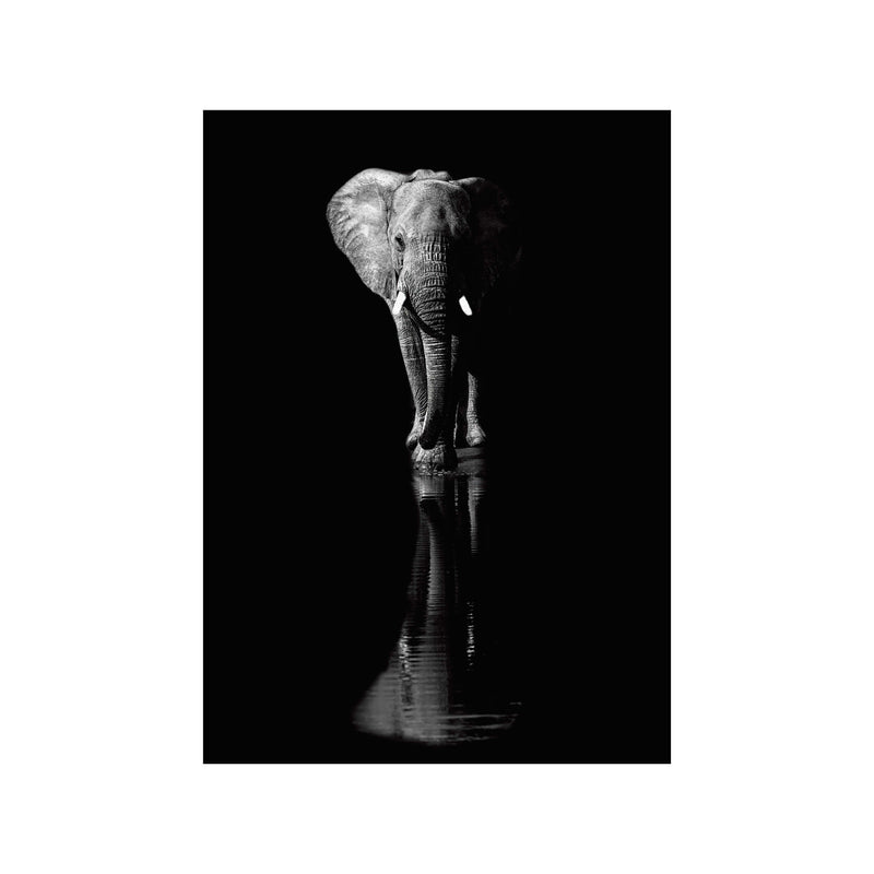 Elephant — Art print by Jie Fischer from Poster & Frame