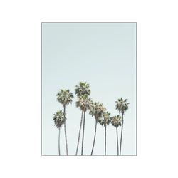 Blue Palm Trees — Art print by Kathrin Pienaar from Poster & Frame