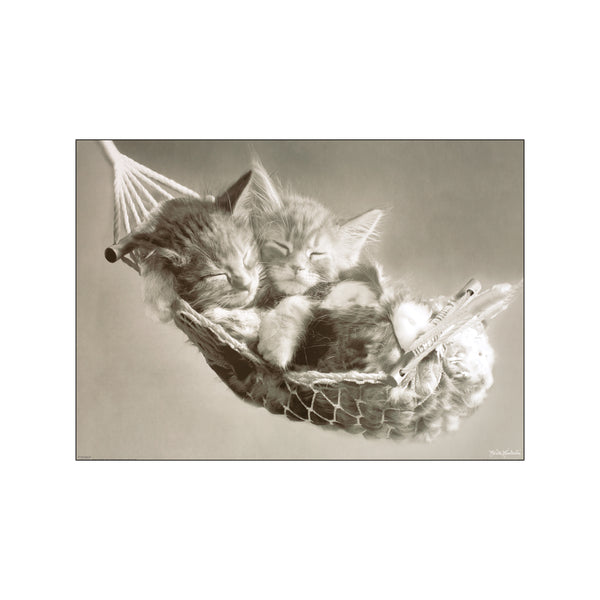 Sleeping Cats — Art print by Keith Kimberlin from Poster & Frame