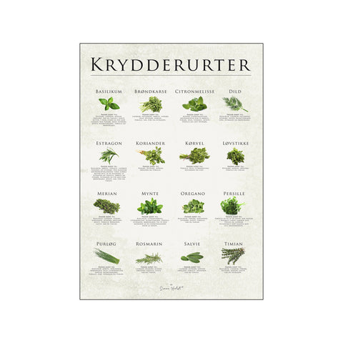 Krydderurter — Art print by Simon Holst from Poster & Frame