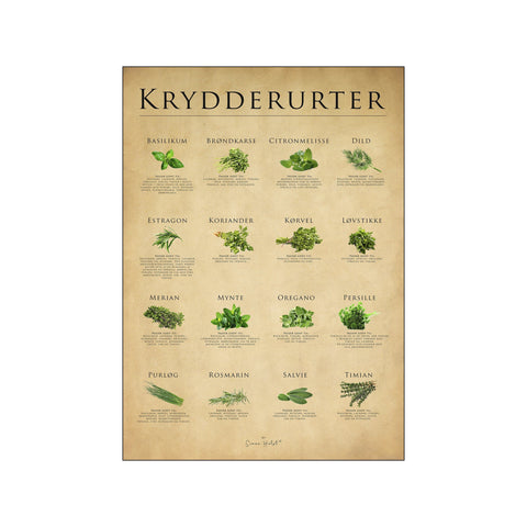 Krydderurter, papir — Art print by Simon Holst from Poster & Frame