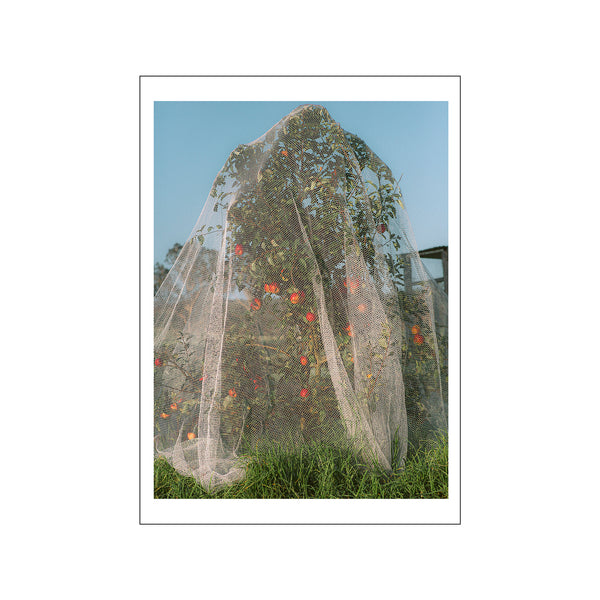 Apple Tree — Art print by The Poster Club x Lee Burnett from Poster & Frame