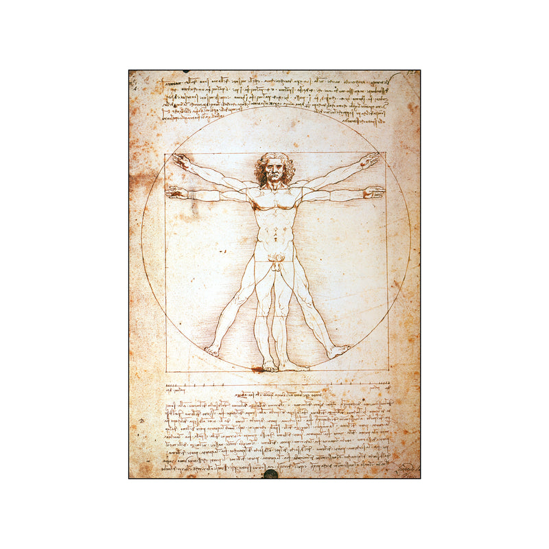 The Vitruvian Man — Art print by Leonardo Da Vinci from Poster & Frame