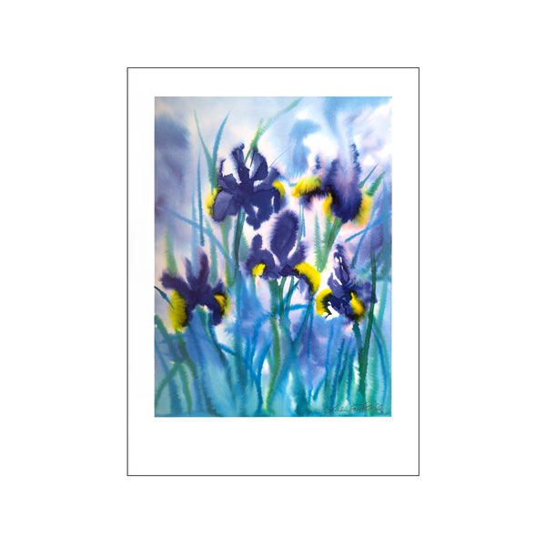 Irises — Art print by Linda Fay Powell from Poster & Frame