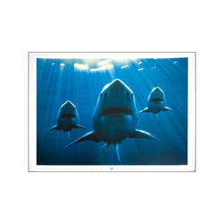 Shark squadron — Art print by Living Nature from Poster & Frame
