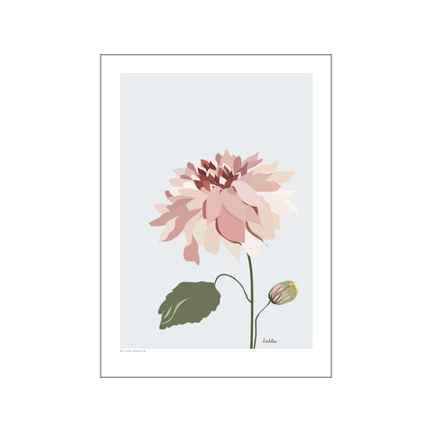 Dahlia — Art print by Lydia Wienberg from Poster & Frame