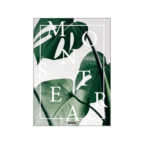 MONSTERA — Art print by KASPERBENJAMIN from Poster & Frame