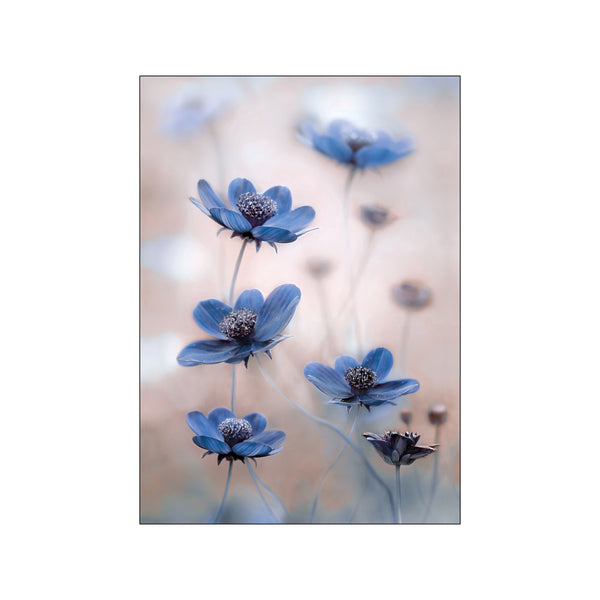 Cosmos blue — Art print by Mandy Disher from Poster & Frame