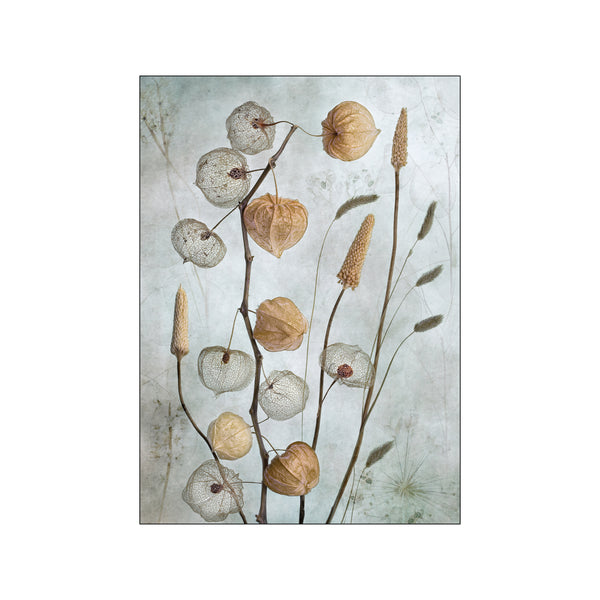 Lanterns — Art print by Mandy Disher from Poster & Frame