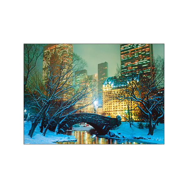 Snow in Central Park — Art print by Mitchell Funk from Poster & Frame