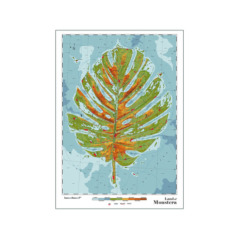 Monstera — Art print by DAU-DAW from Poster & Frame