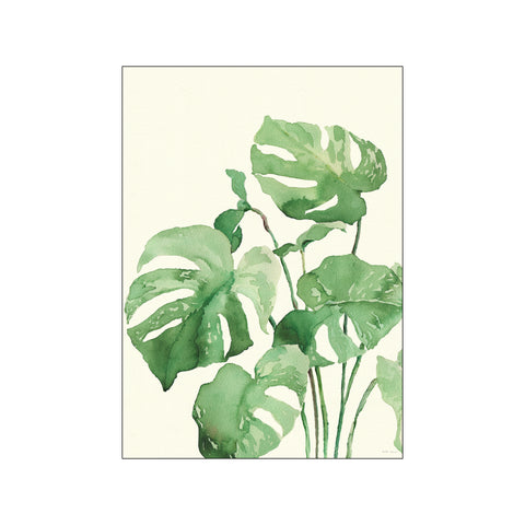 Monstera Albo — Art print by Dorthe Svarrer from Poster & Frame