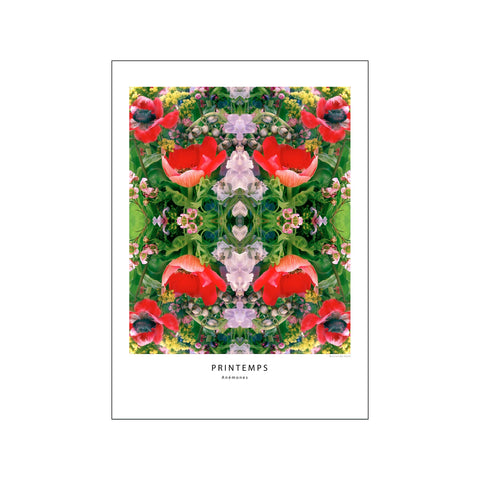 Anémones 3 — Art print by Muriel de Seze from Poster & Frame