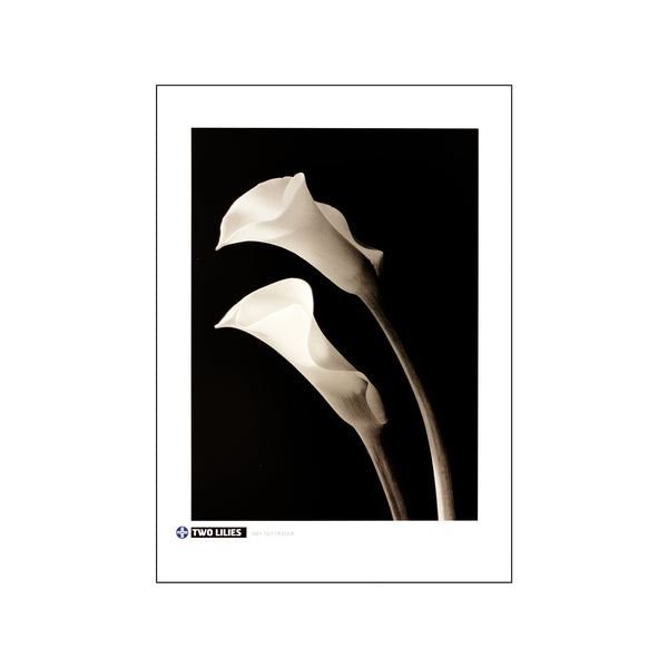 Two Lilies — Art print by Ney Tait Fraser from Poster & Frame