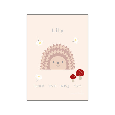 Birth poster, Hedgehog — Art print by Nordic Simply from Poster & Frame