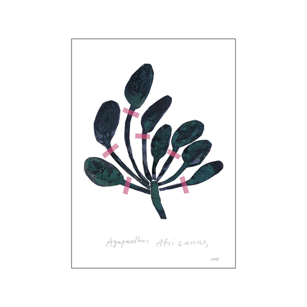 Agapanthus — Art print by The Poster Club x Nygårds Maria Bengtsson from Poster & Frame
