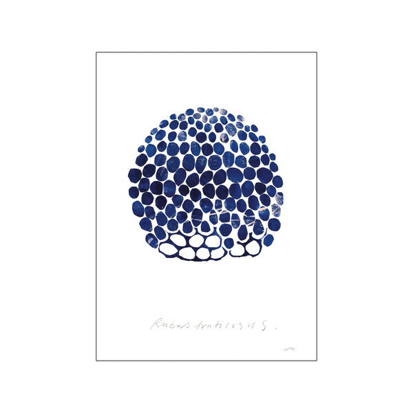 Rubus — Art print by The Poster Club x Nygårds Maria Bengtsson from Poster & Frame