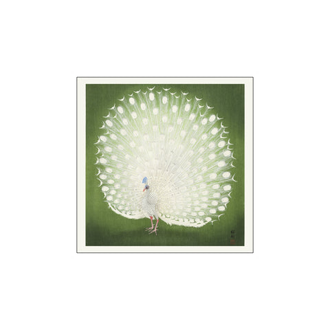 Peacock Square — Art print by Ohara Koson from Poster & Frame