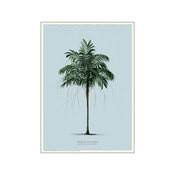 Vintage Palm - Blue — Art print by Permild & Rosengreen from Poster & Frame