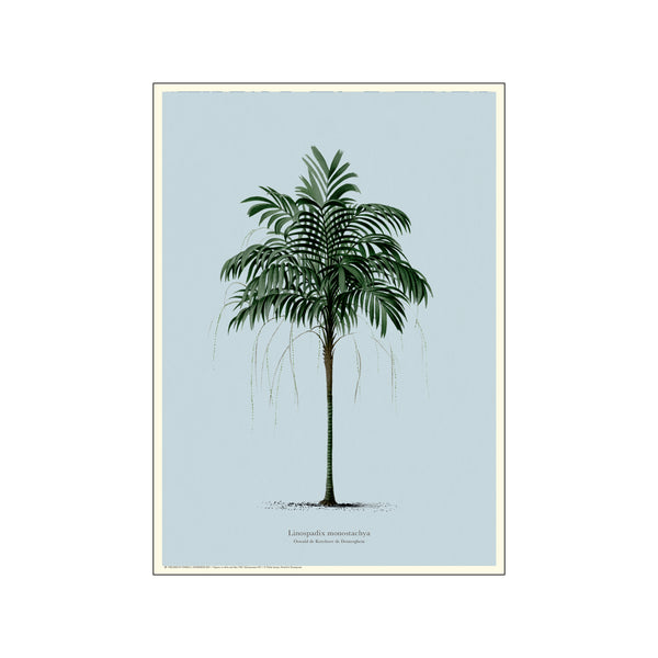 Vintage Palm - Blue — Art print by Permild & Rosengreen from Poster & Frame