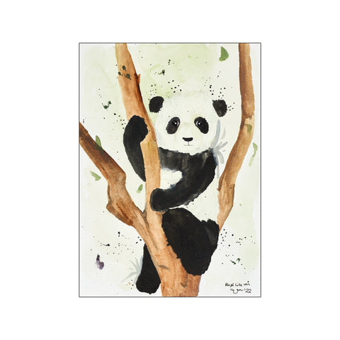 Pandaen