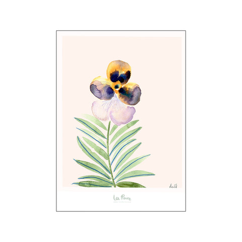 Pansy II — Art print by La Poire from Poster & Frame