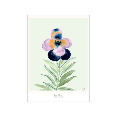 Pansy I — Art print by La Poire from Poster & Frame