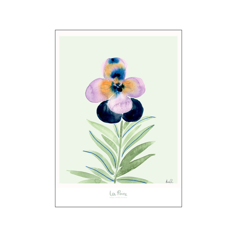 Pansy I — Art print by La Poire from Poster & Frame