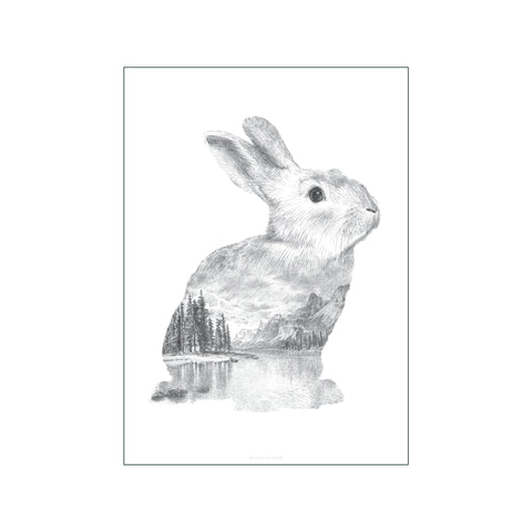 Pencil Rabbit