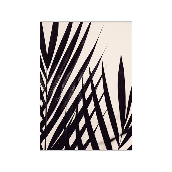 Guldpalm black — Art print by Affordable Art Prints from Poster & Frame