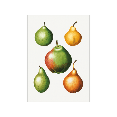 Pear Pyrus Communis 02 — Art print by Pierre-Joseph Redoute de Kerchove de Denterghem from Poster & Frame