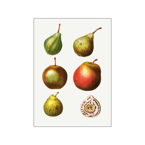 Pear Pyrus Communis 03 — Art print by Pierre-Joseph Redoute de Kerchove de Denterghem from Poster & Frame