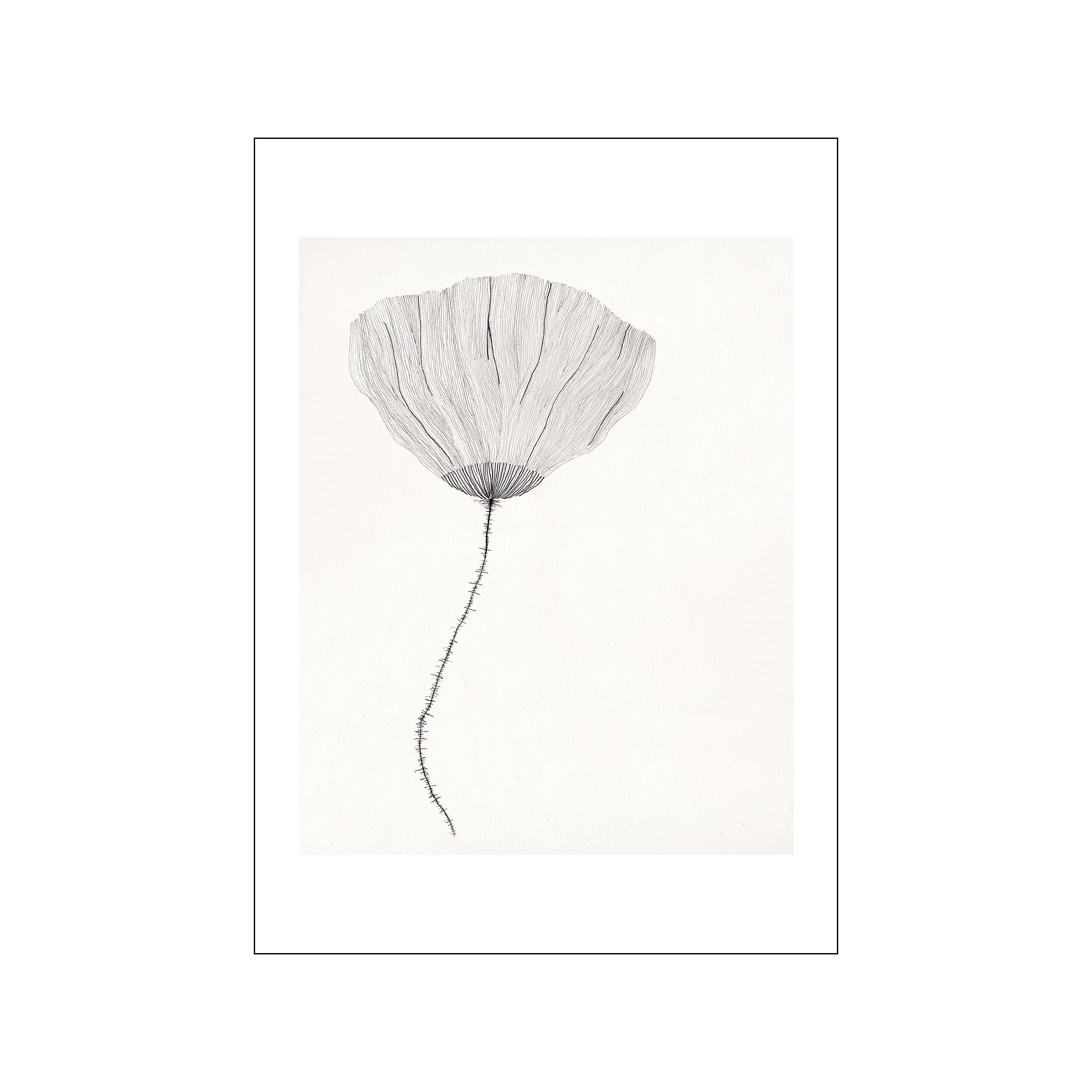 The Poster Club x Ana Frois – Poster & Frame Art Group
