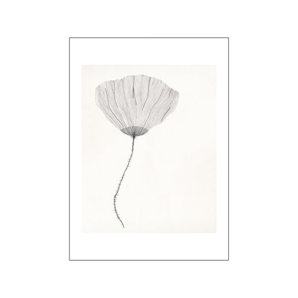Poppy — Art print by The Poster Club x Ana Frois from Poster & Frame