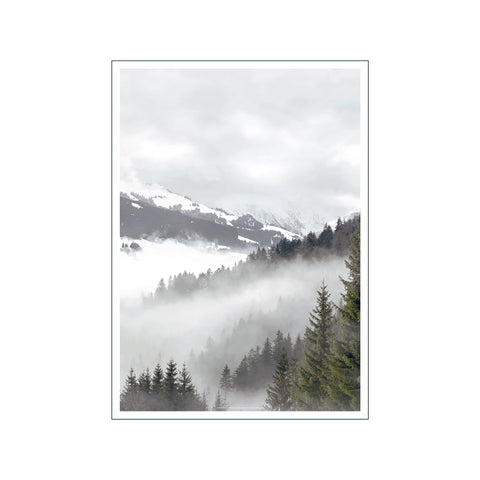 Portraits Pine View — Art print by Faunascapes from Poster & Frame