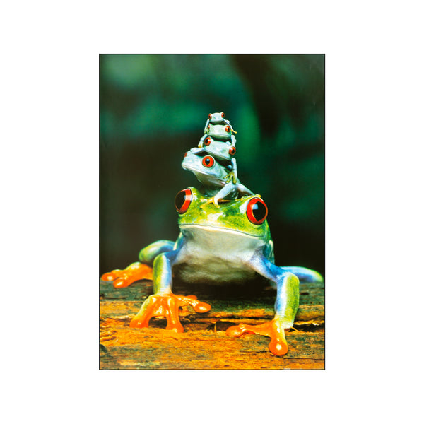 Frog Family — Art print by Posterland from Poster & Frame