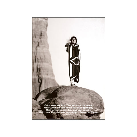 Indian Prophecy — Art print by Posterland from Poster & Frame
