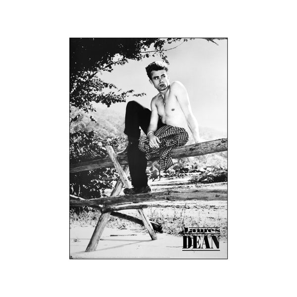 James Dean on the ranch — Art print by Posterland from Poster & Frame