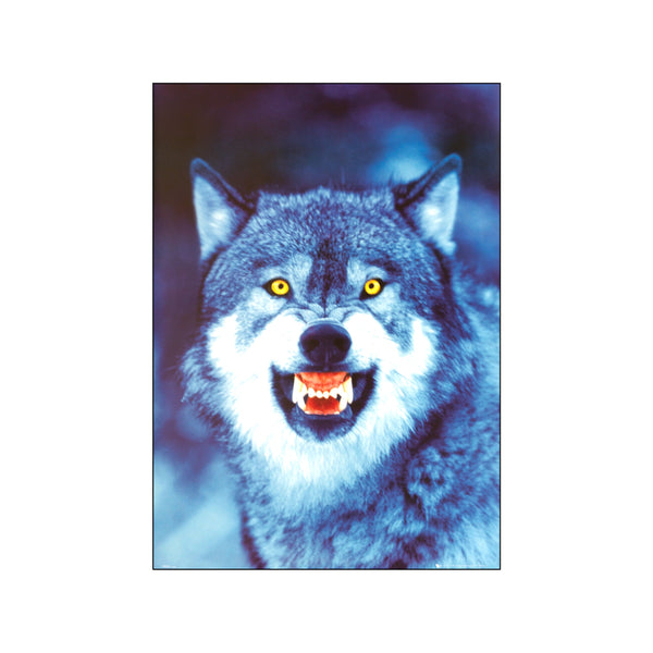 Wolf — Art print by Posterland from Poster & Frame