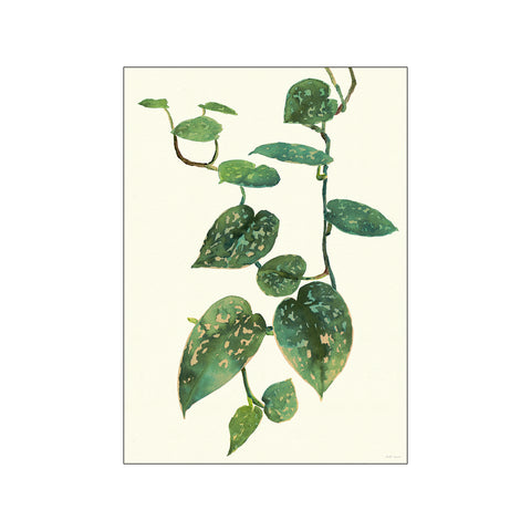 Pothos Satin — Art print by Dorthe Svarrer from Poster & Frame